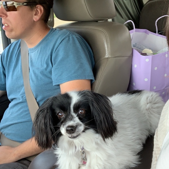 Meet your Posher, Amanda - Picture 7 of 8